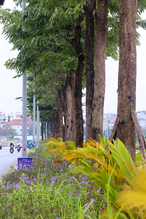 duong 10 lan xe noi hai tuyen vanh dai o thu do