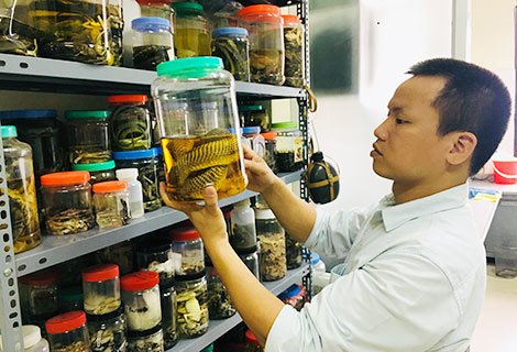 vi tien si co the ngui mui ran dang o gan minh