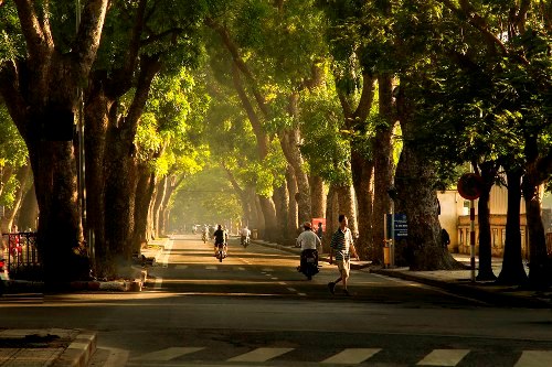 du bao thoi tiet hom nay 511 ha noi tiep tuc lanh ve dem va sang som mien bac suong mu