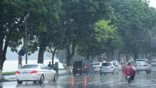 du bao thoi tiet hom nay 1311 sang som bac trung bo co suong mu