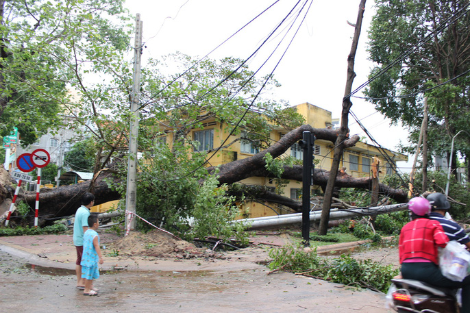 vung tau ngon ngang mat mat sau bao so 9