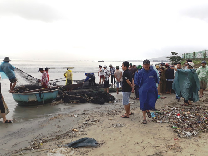 Mưa lịch sử tại Đà Nẵng 'giúp' người dân vớt cả tấn cá mua lich su tai da nang giup nguoi dan vot ca tan ca