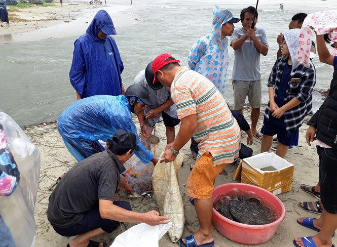 mua lich su tai da nang giup nguoi dan vot ca tan ca