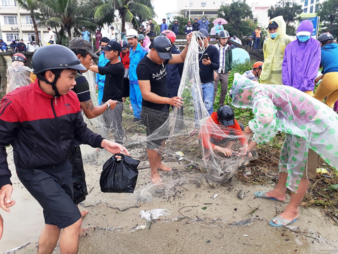 Mưa lịch sử tại Đà Nẵng 'giúp' người dân vớt cả tấn cá mua lich su tai da nang giup nguoi dan vot ca tan ca