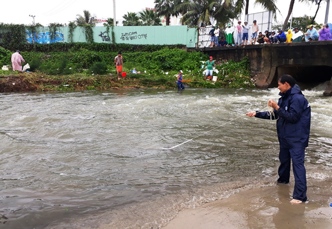 Mưa lịch sử tại Đà Nẵng 'giúp' người dân vớt cả tấn cá mua lich su tai da nang giup nguoi dan vot ca tan ca