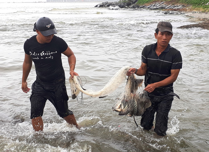 mua lich su tai da nang giup nguoi dan vot ca tan ca