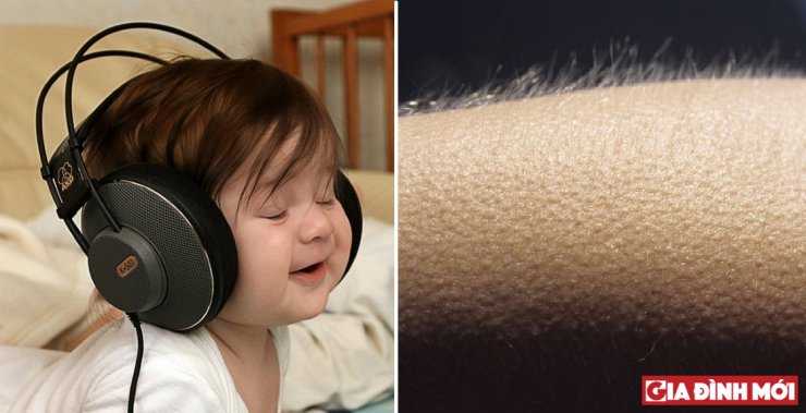 bi mat ve bo nao cua nhung nguoi bi noi da ga khi nghe nhac