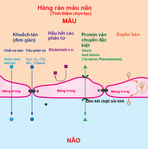 3 noi oan cua mi chinh