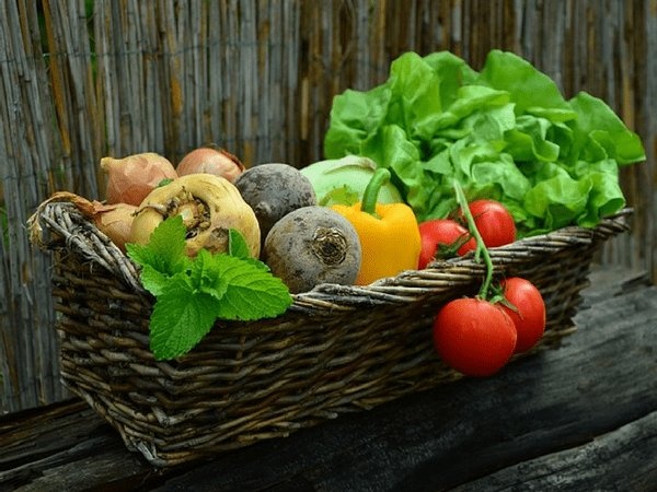 cac loai thuc pham giau vitamin b5 nen co trong thuc don cua ban