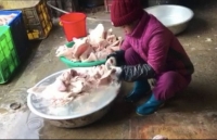 bi quyet nhan mat banh mut rau cu co hoa chat dip tet