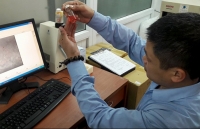 be gai ung thu hien giac mac con nhu vien ngoc sang giua doi
