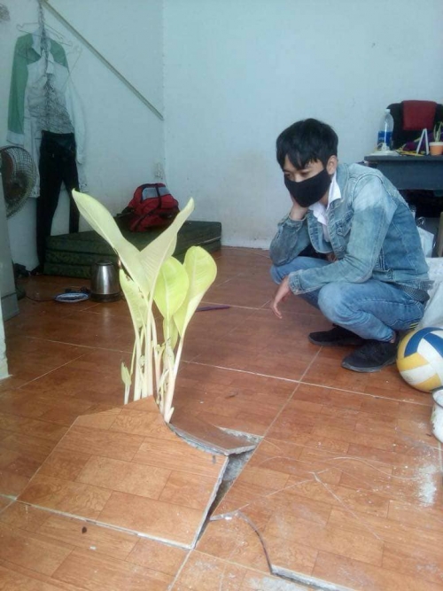 sau ki nghi tet phong tro sinh vien bong dung moc cay chuoi giua nha khien cong dong mang tranh cai