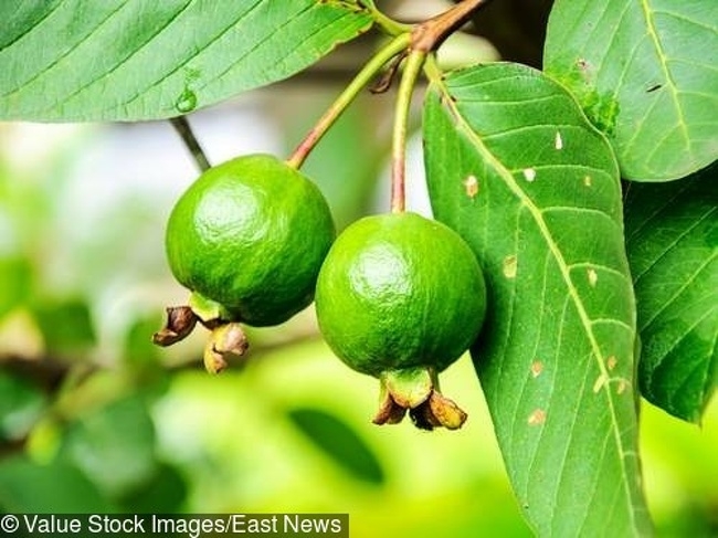 8 cach giam dau rang hieu qua tai nha