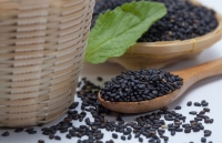 thien dinh va nhin an mot cai nhin toan dien