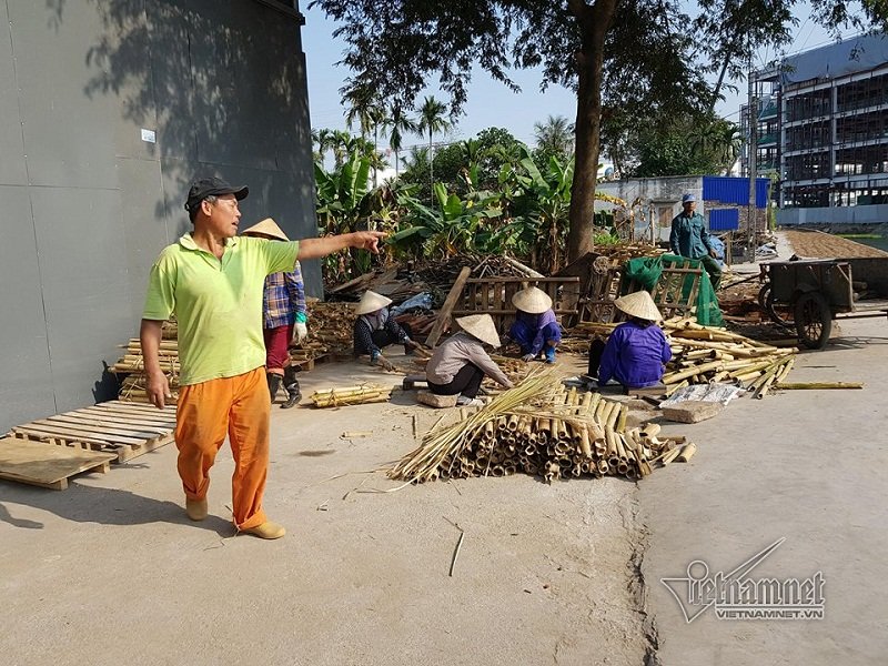 rung minh quy trinh che cui tre thanh thuoc tri ung thu