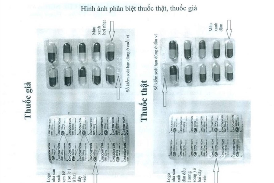 lien tiep phat hien thuoc khang sinh gia vi dau nen noi