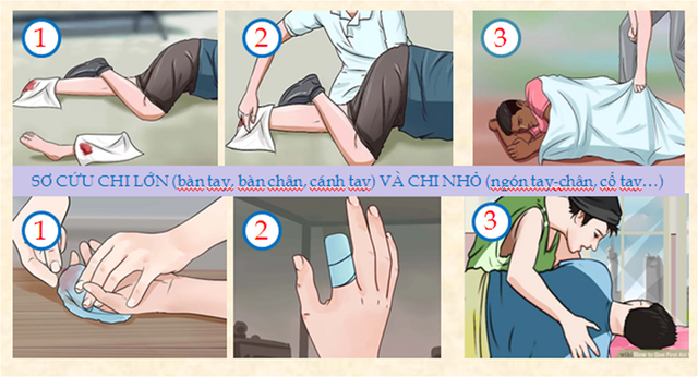 cach xu tri nguoi bi tai nan dut lia mot phan co the