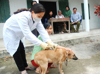 Mùa hè, lo ngại bệnh dại tăng cao do nắng nóng mua he lo ngai benh dai tang cao do nang nong