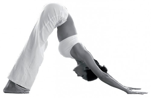5 tu the yoga co ban tao suoi nguon tuoi tre
