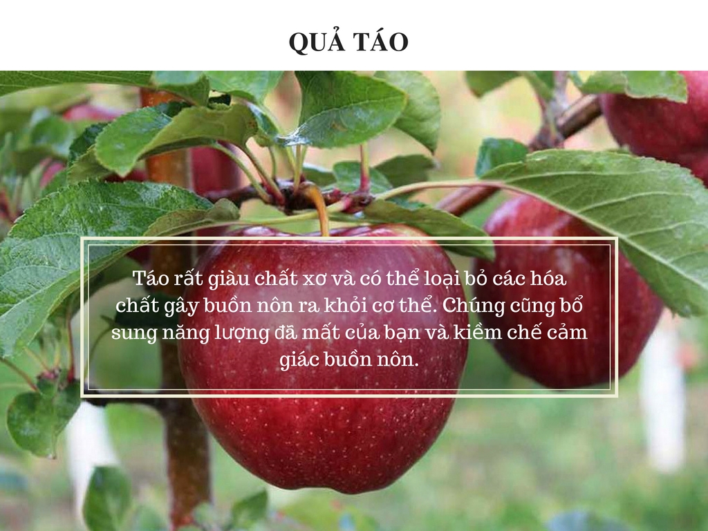 Làm sao thoát khỏi cảm giác buồn nôn khi mang thai lam sao thoat khoi cam giac buon non khi mang thai
