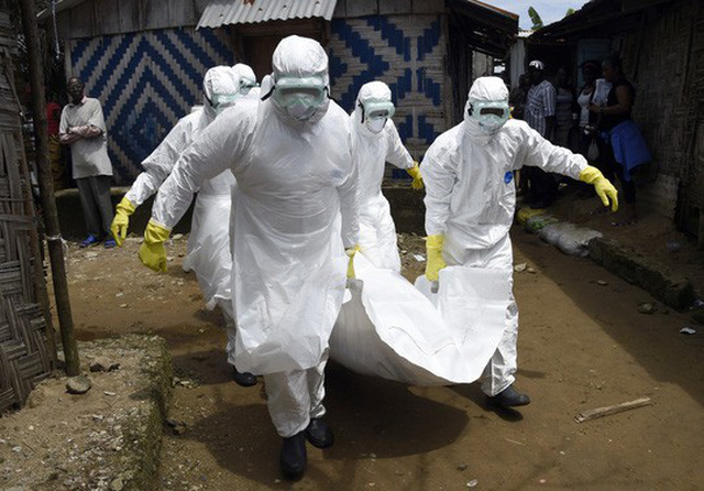 ebola lai bung phat who va congo gap rut doi pho