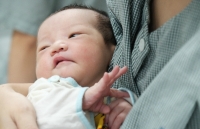 can trong tang dan du gia heo tang
