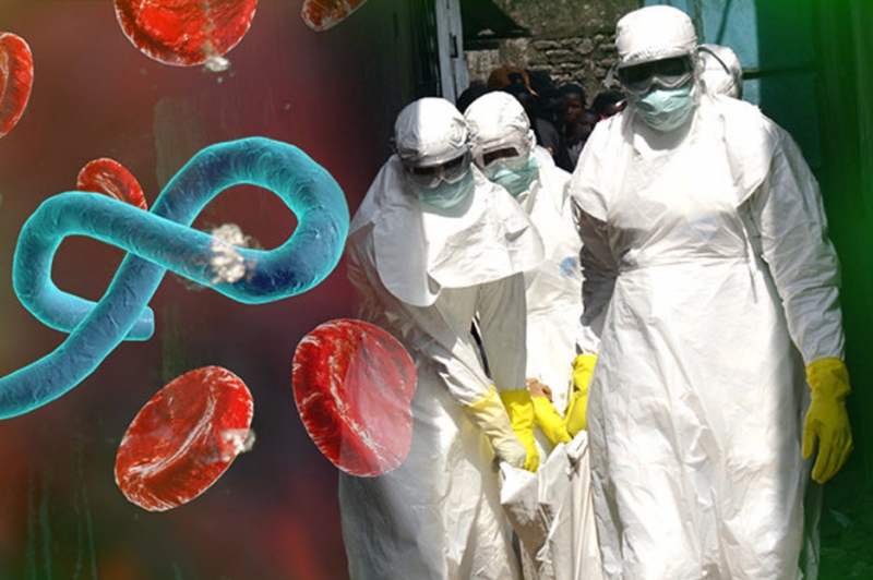 dich benh ebola co xu huong gia tang dien bien phuc tap