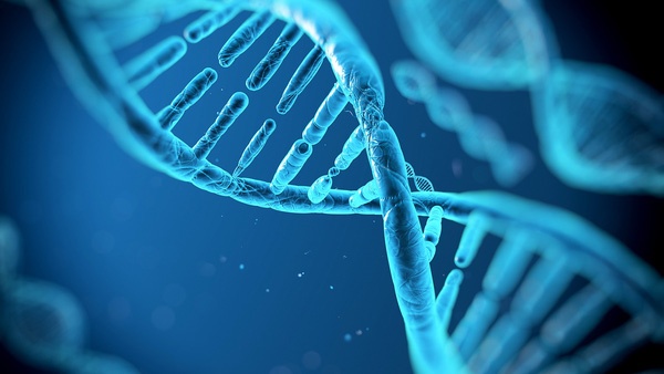 con nguoi song tho hon nho hoc tap