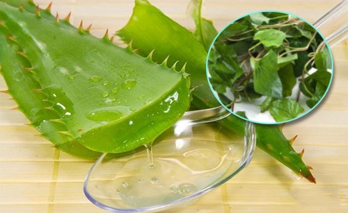 6 cach tri mun dau den bang nha dam an toan va hieu qua tai nha