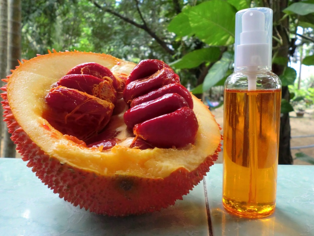 qua den tu thien duong than duoc phong the cho nguoi hiem muon