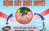 dung thuoc aspirin sai lam trong dieu tri sot xuat huyet