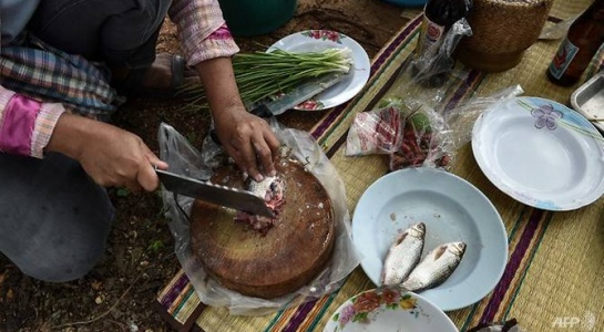Không chỉ vì món cá sống, người Thái Lan mắc ung thư cao vì nhiều đặc sản kỳ lạ khong chi vi mon ca song nguoi thai lan mac ung thu cao vi nhieu dac san ky la