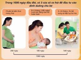can luu y 1000 ngay vang cua con em