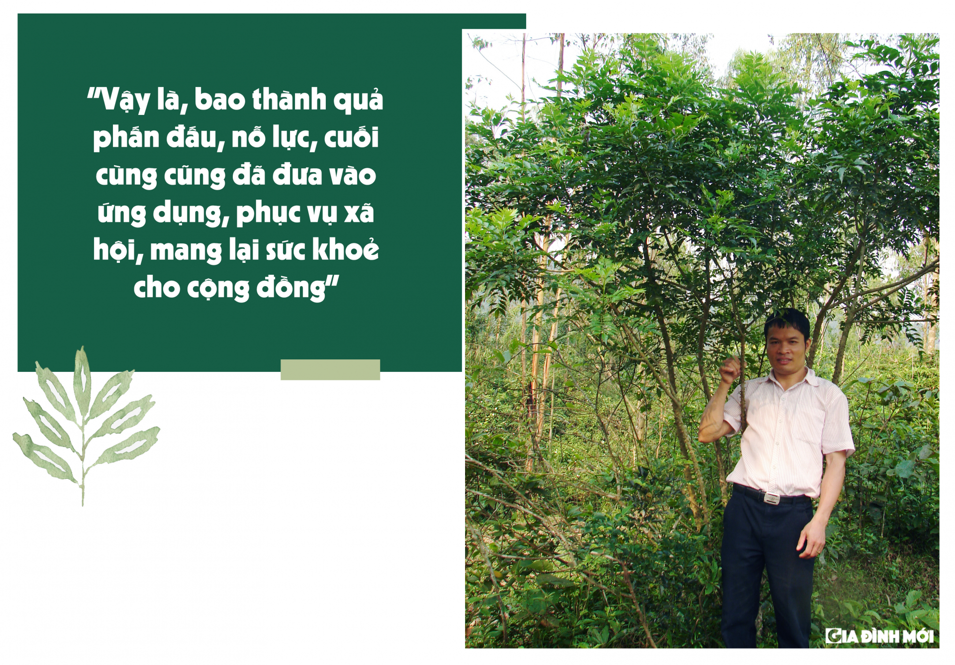 10 nam tham lang voi khao khat cuu la gan nguoi viet