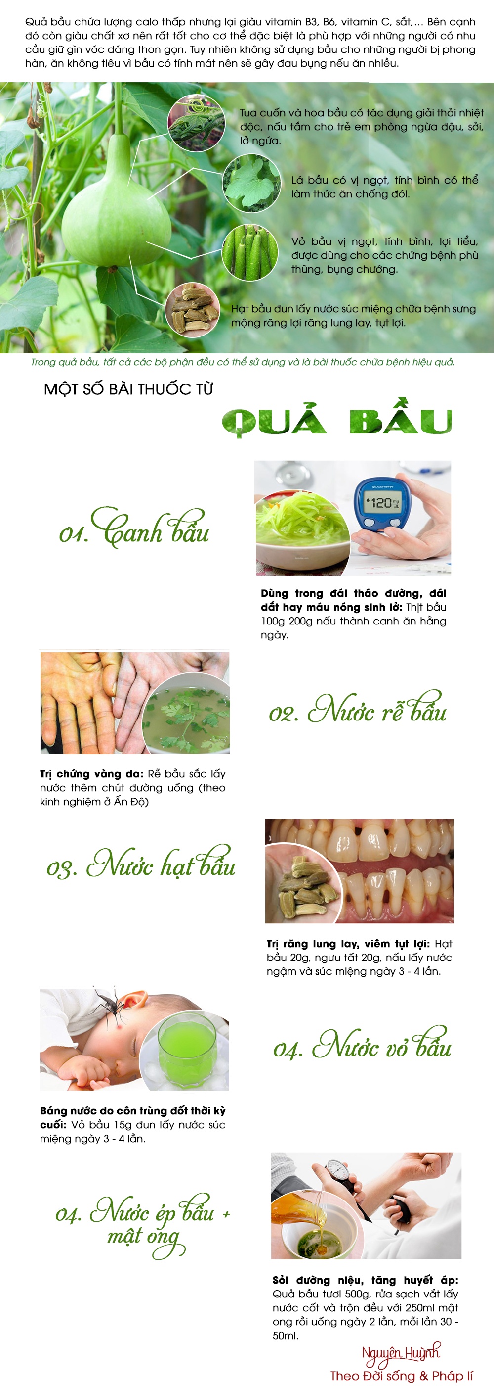 an qua bau mua he nho dung quen nhung bai thuoc chua benh hieu qua nay