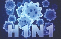 nguoi thu 3 o tphcm tu vong vi cum a h1n1