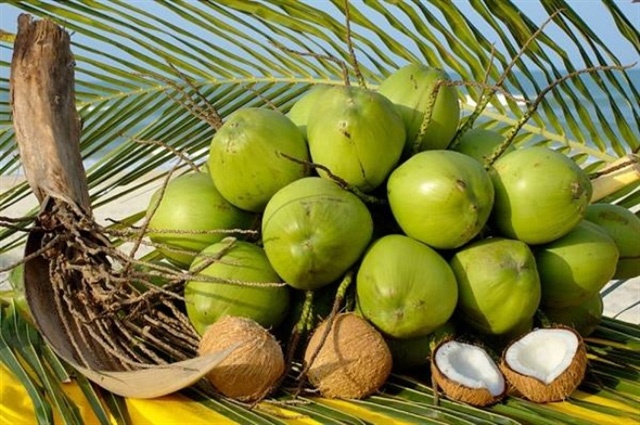loi ich cho suc khoe khi uong nuoc dua