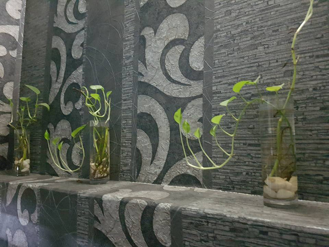 nhung noi ua de trung cua muoi truyen sot xuat huyet ngay trong nha ban