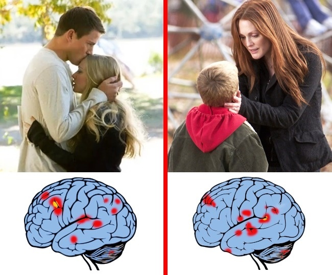 9 khám phá mới nhất về những điều ảnh hưởng đến não bộ 9 kham pha moi nhat ve nhung dieu anh huong den nao bo
