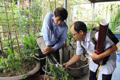 Mật độ muỗi, ổ bọ gậy tăng trở lại ở nhiều điểm nóng sốt xuất huyết