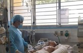 Mất mạng vì chữa bệnh dại bằng thuốc Nam