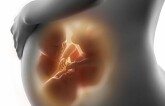 Hệ thống miễn dịch của mẹ ảnh hưởng đến sự phát triển trí não của em bé