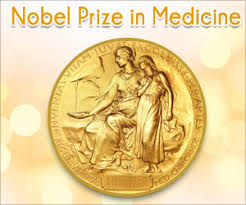 nobel y hoc vinh danh co che phan tu kiem soat nhip sinh hoc 53583