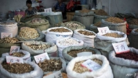 phong ngua ngo doc dong duoc
