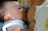 dot tu vi qua lo lang khi thi lay bang lai xe hoi