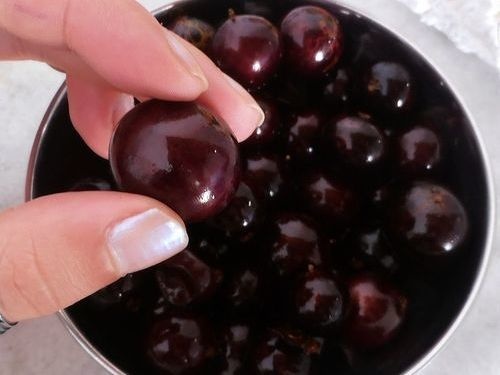 Loại cây kì dị có hoa và quả mọc chi chít trên thân, nhưng ăn lại cực ngon loai cay ki di co hoa va qua moc chi chit tren than nhung an lai cuc ngon