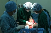 vi sao benh nhan dai thao duong uong thuoc gia truyen den suy da tang