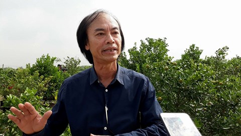 phu huynh thai do khi bac si khong ke thuoc khang sinh