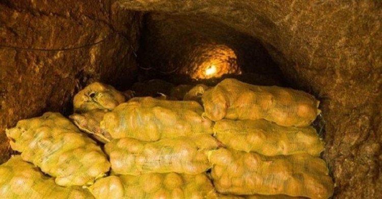 ngoi nghi o ham khoai tay lao nong phat hien ra ca kho bau khong lo