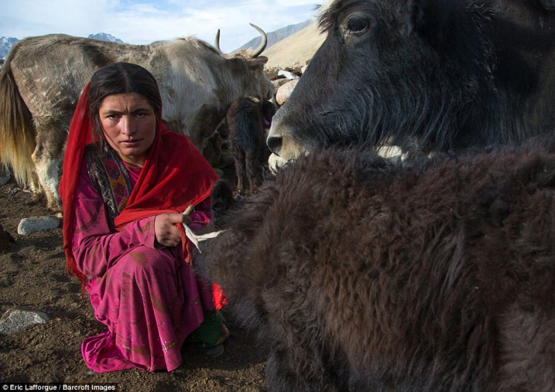 cuoc song cua bo lac khong biet den chien tranh o afghanistan
